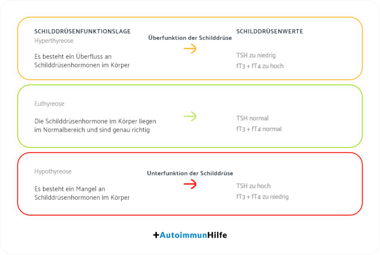 Schilddrüsenwerte Kontrollieren Mit Oder Ohne Tablette www.autoimmunhilfe.de